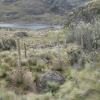 Quenca_national park_Hiking