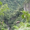 Pailon Del Diablo_Jungle