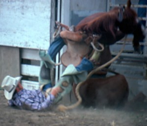 Both rider and horse barely escape serious injury when the horse stumbles coming out of the chute at a small rodeo in Glen Ullin ND